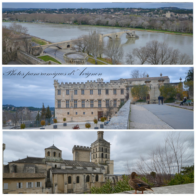 Avignon3
