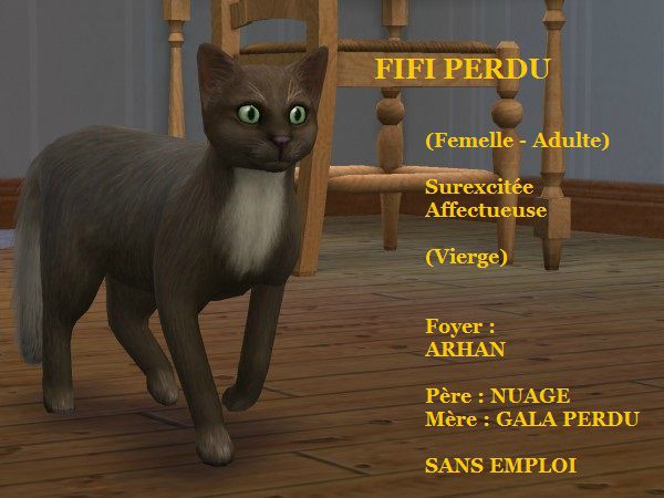 FIFI PERDU