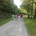 20082011043
