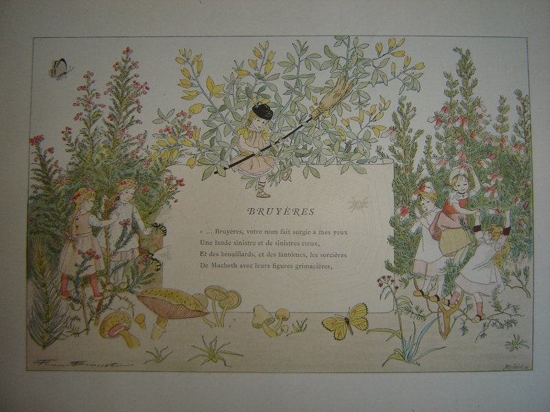 planche bruyère