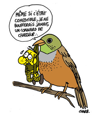 951_ortolan_charb