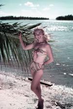 Swimsuit_CATALINA-Striped-style_MM-mode-1945-model-1