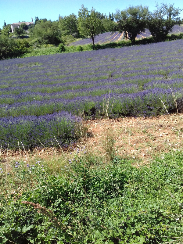 20180625_113124