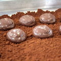 C'est tout chocolat 15