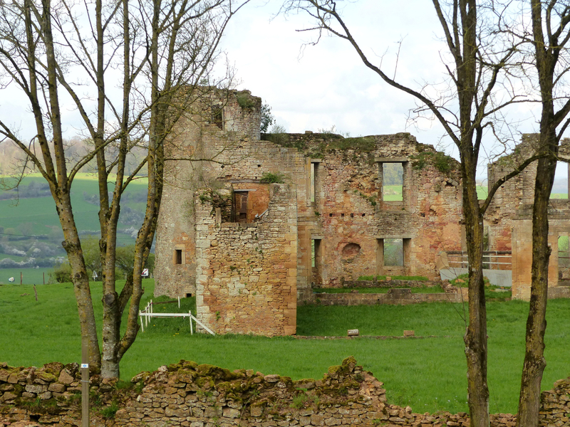 P1150555