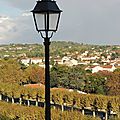 DSCN0573