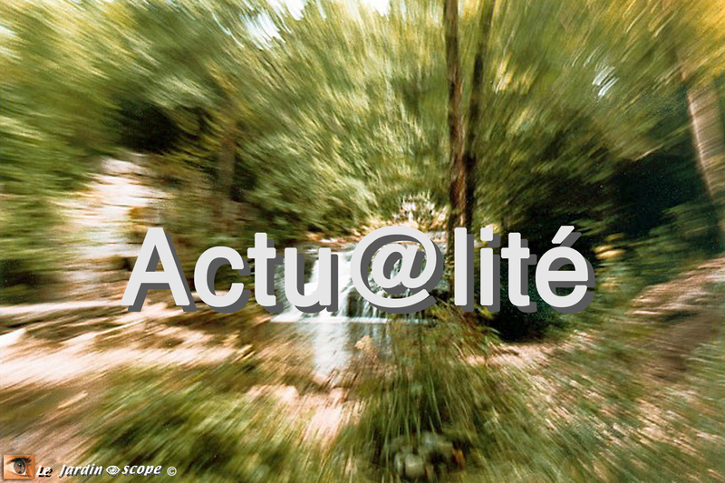 Actu@lité