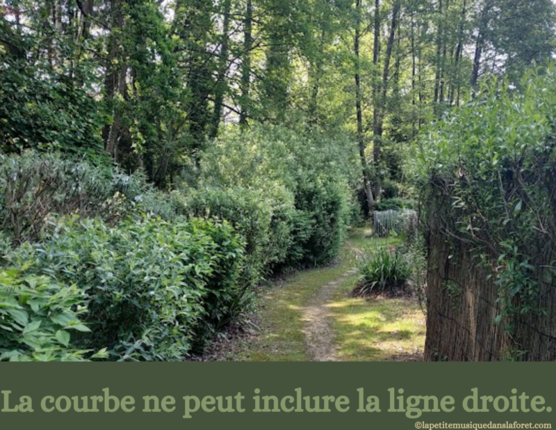 23 KOAN ZEN La courbe ne peut inclure la ligne droite