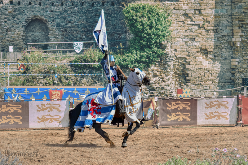 La baronnie de Fougères sous les Seigneurs de la maison de Lusignan