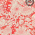 GofD Fairy Land Corail