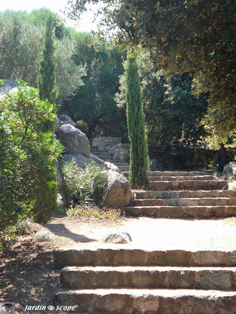 Parc botanique de Saleccia 