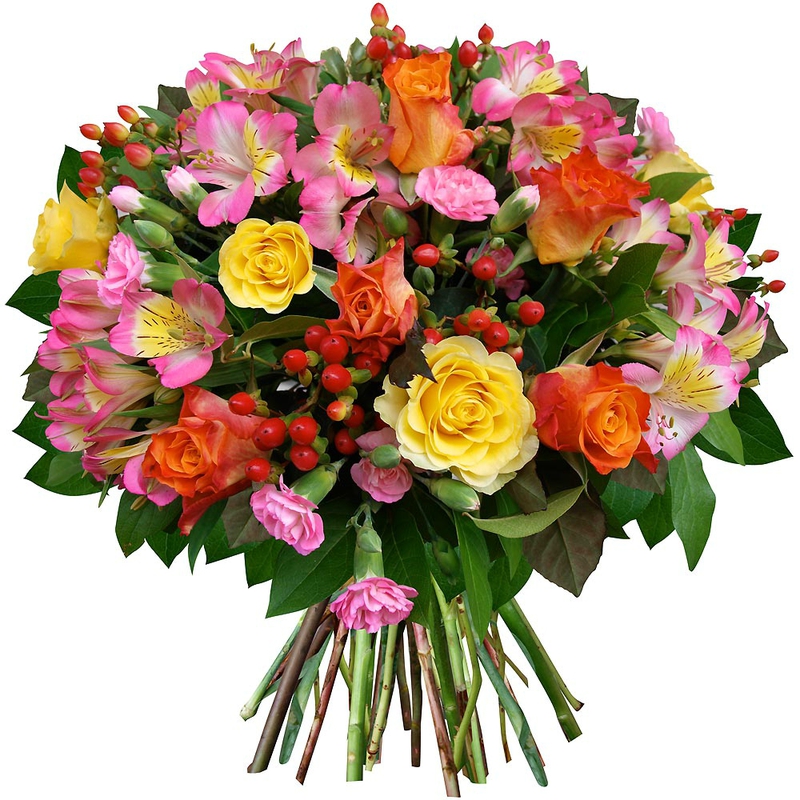 N° 2bouquet-rond-rose-fleur-oeillet-hypericum-alstroemeria-multicolore-vif_13785