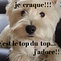 actop
