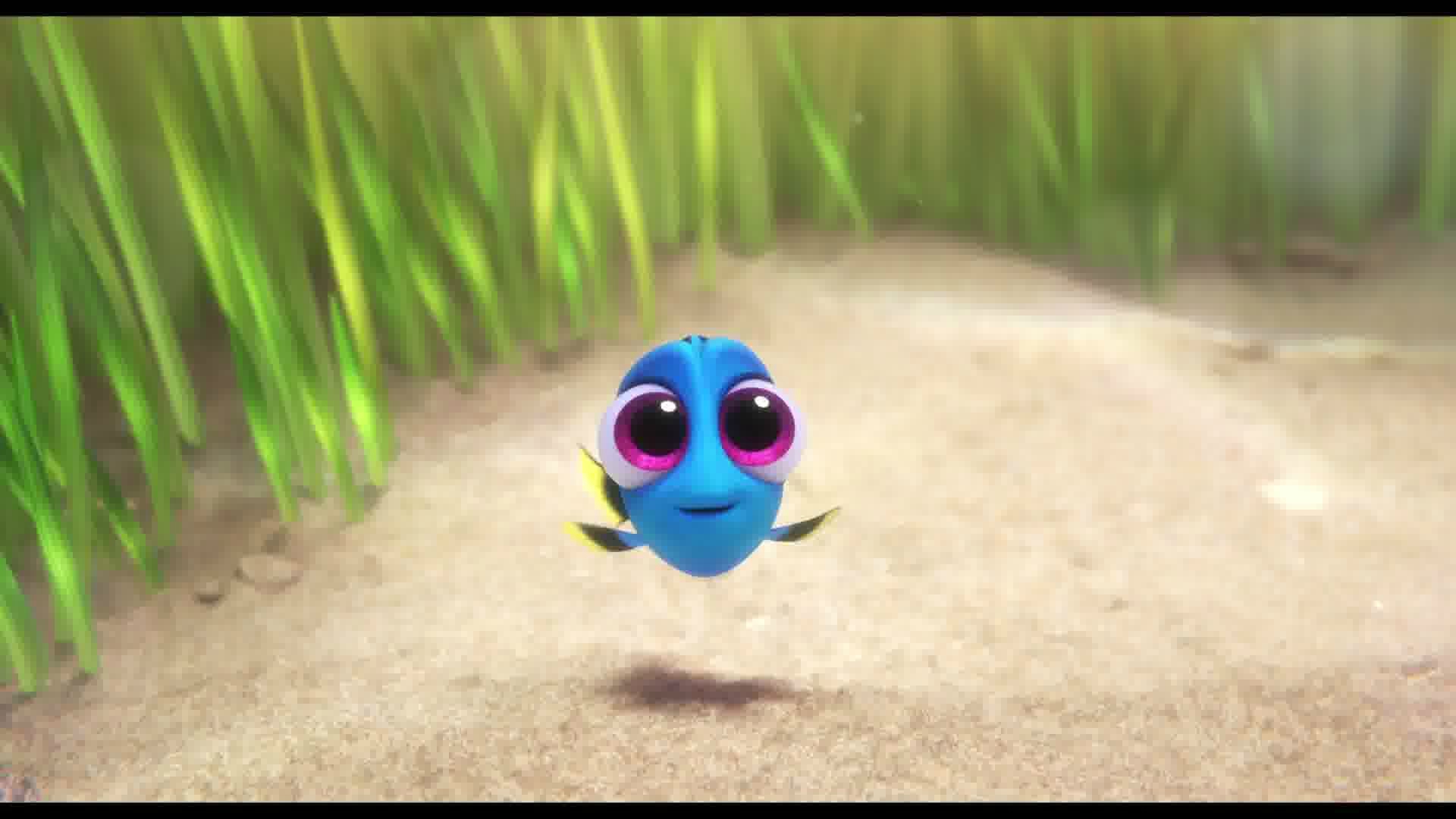 Le Monde De Dory Finding Dory D Andrew Stanton 16 Shangols