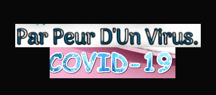 codiv11