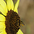 P1066253