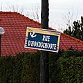 IMGP9779