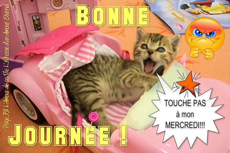 3 b me chat dit touche pasBPat19