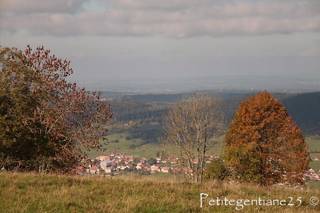 IMG_3666