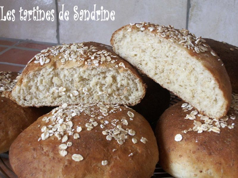 flocon d'avoine en 5 lettres