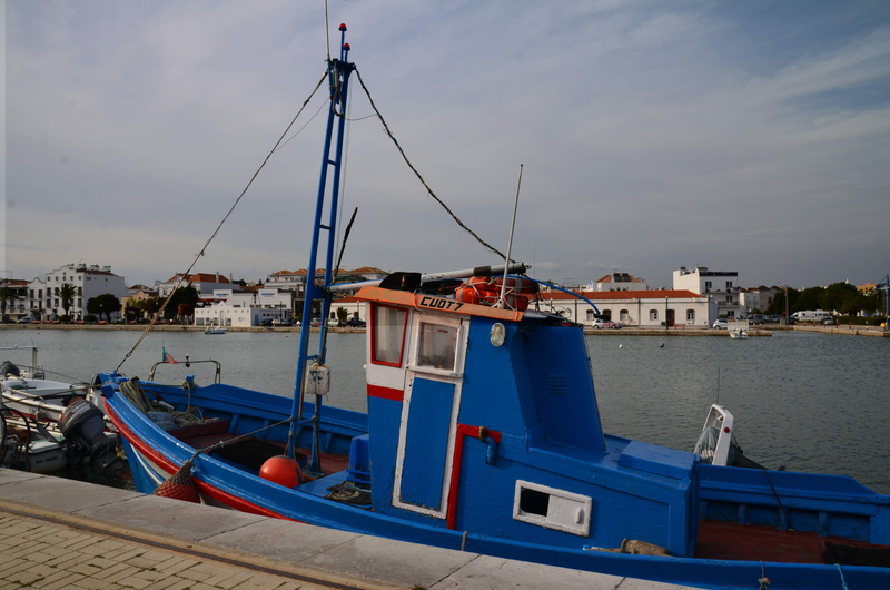 DSC_5316;