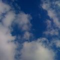 IMG_0055