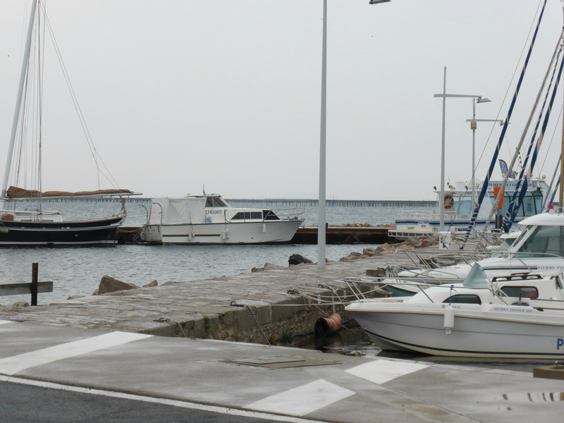P1230156_redimensionner