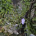 _DSC0063