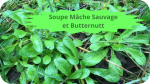 17 DOUCETTESoupe Mache Sauvage et Butternutt-modified