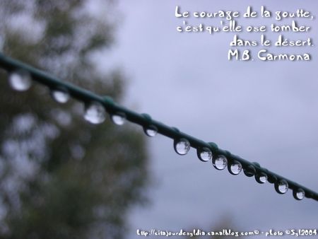 2011_b_cour3