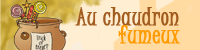 Chaudron__200_50_