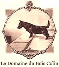 adresse blog copie (2)