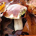 DSC06486