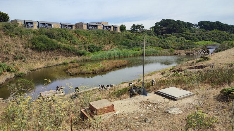Les biquettes de Kerlannic