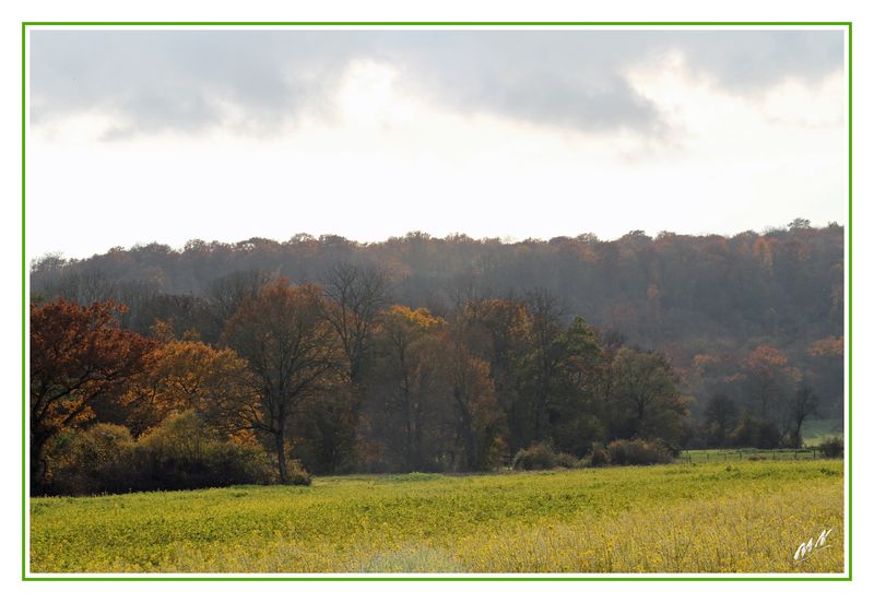 Automne_2010_11_01_1363c_GF