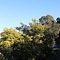 IMG_5974