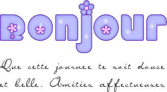 bonjour11pardamysa
