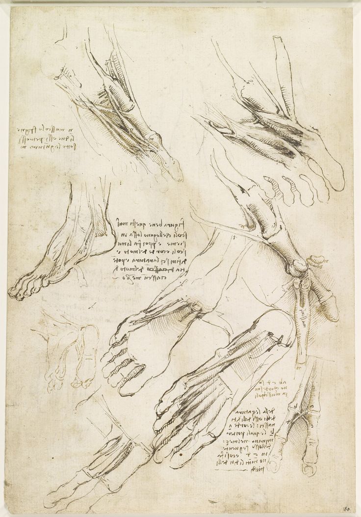 Exhibition in Edinburgh sheds new light on Leonardo da Vinci's