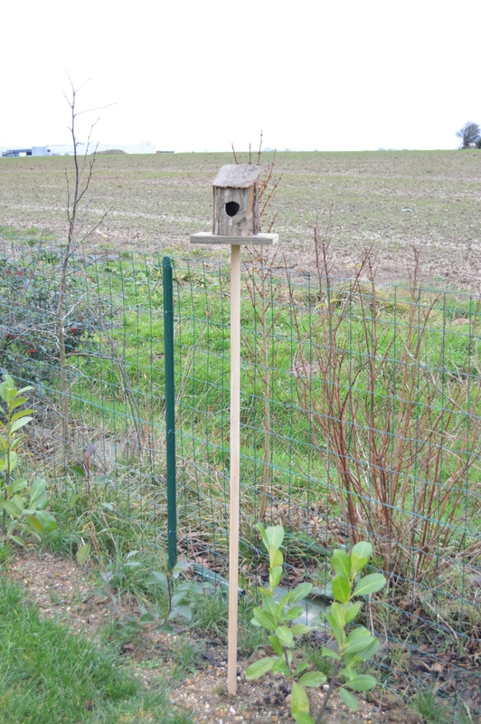 Image1