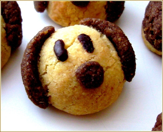 biscuit toutou