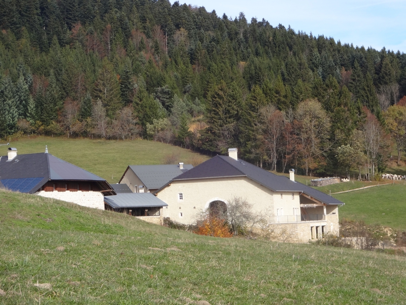 DSC01798