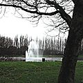 IMGP3291