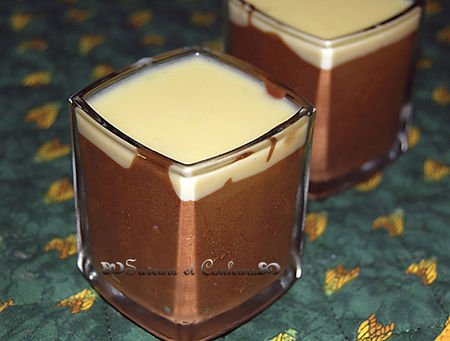 047_Mousse_aux_deux_choco