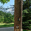 Arbre de vie culturelle,