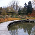 La roseraie du Parc Floral en automne