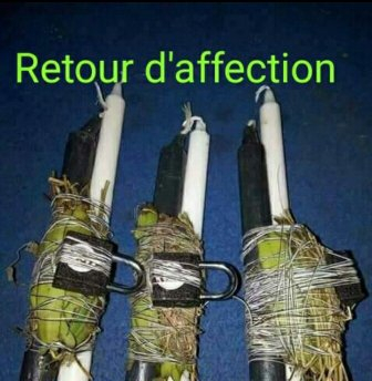 retour-affectif-du-professeur-zola
