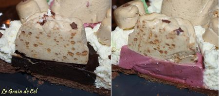 B_cheSpeculoosFramboiseChocolat6