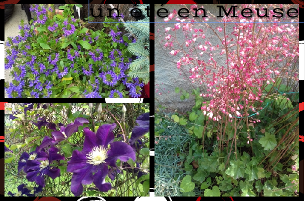 collageb2