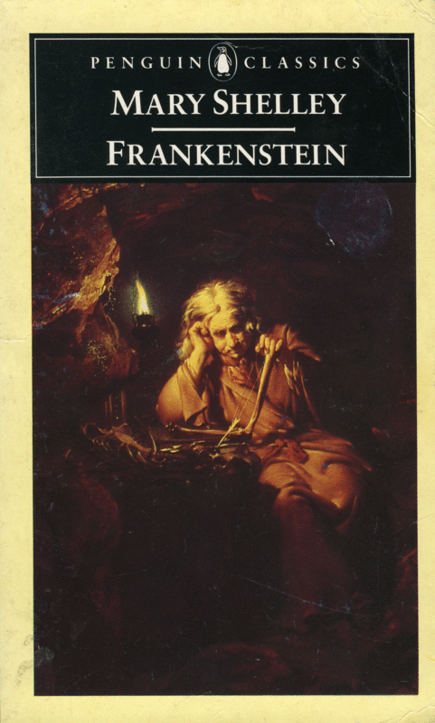 Le Roman de Mary Shelley