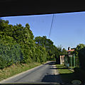 _DSC0019